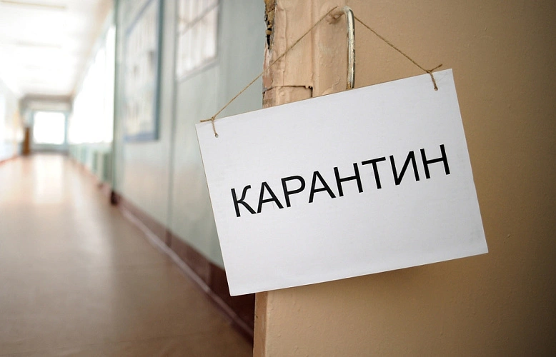 Фото: 9111.ru