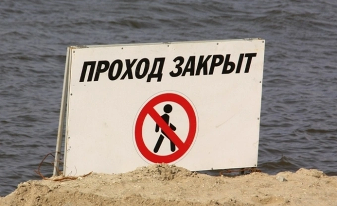 Фото: Дзен
