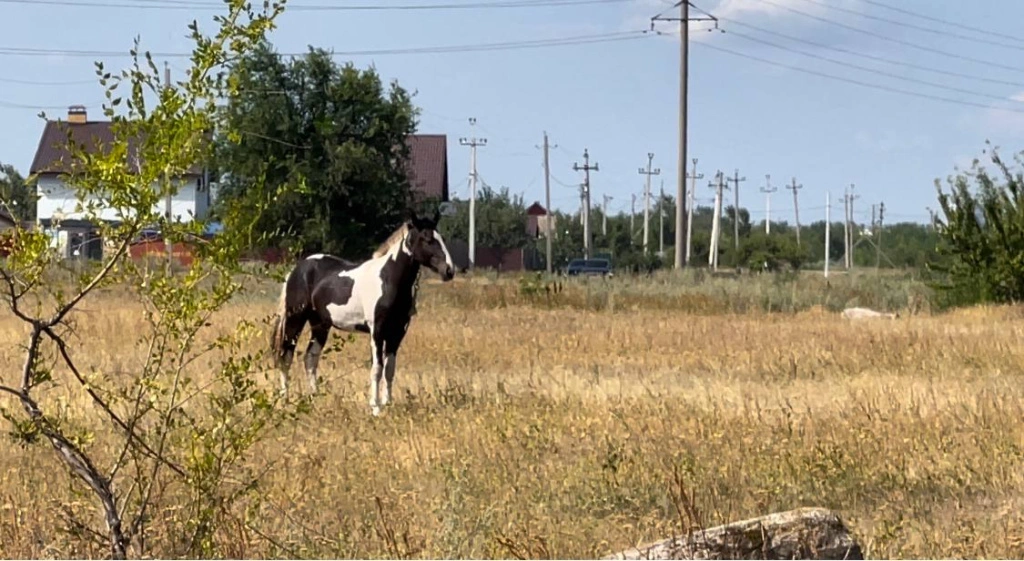 IMG_20240805_115410_172.jpg IMG_20240805_115410_172.jpg