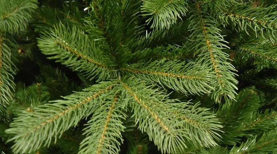 Фото: Администрация БМР