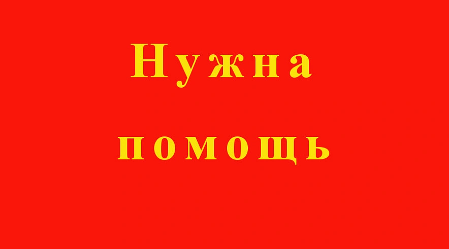 Фото: «Лиза Алерт», Gobalakovo