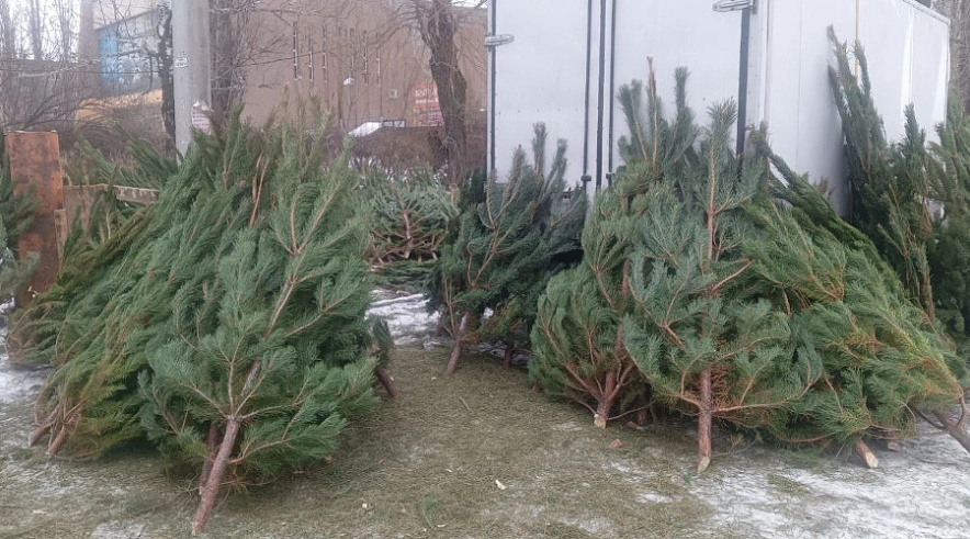 Фото: Администрация БМР