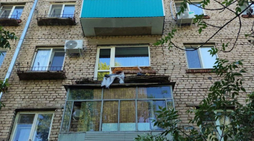 Фото: СУ СКР по Саратовской области