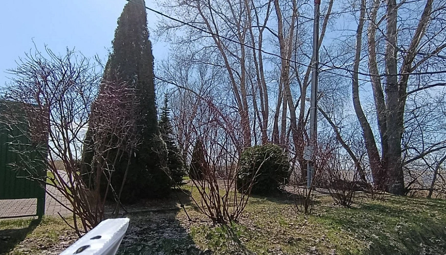 Фото: Администрация БМР