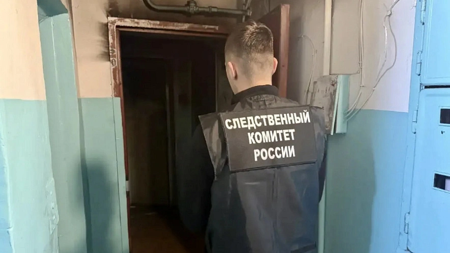 Фото: СУ СКР по Саратовской области