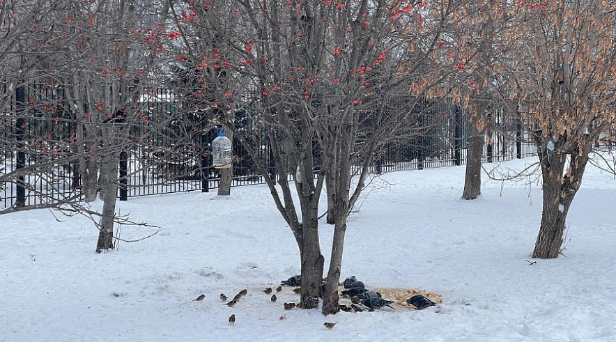 Фото: G﻿obalakovo