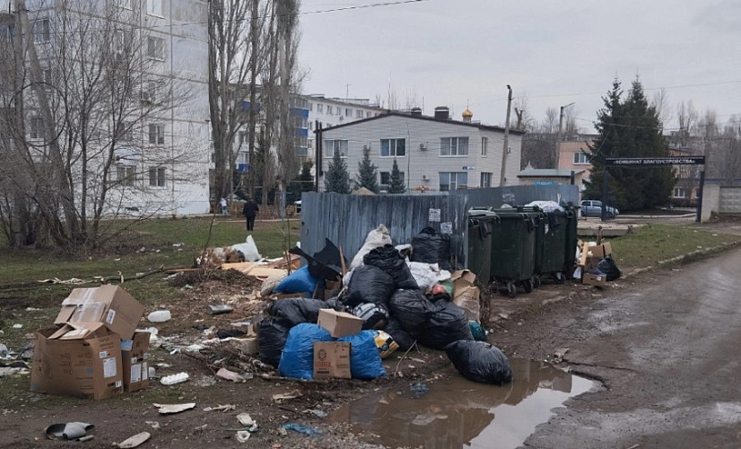 Фото: Администрация БМР