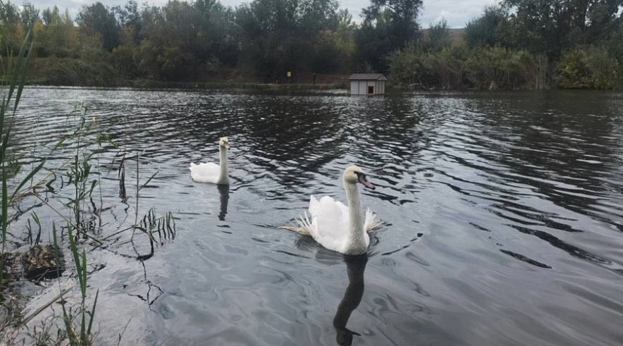Фото: Дмитрий Иванов