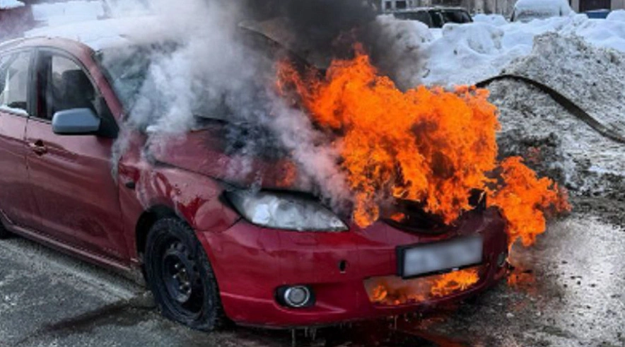 Фото: ГУ МВД России по Саратовской области