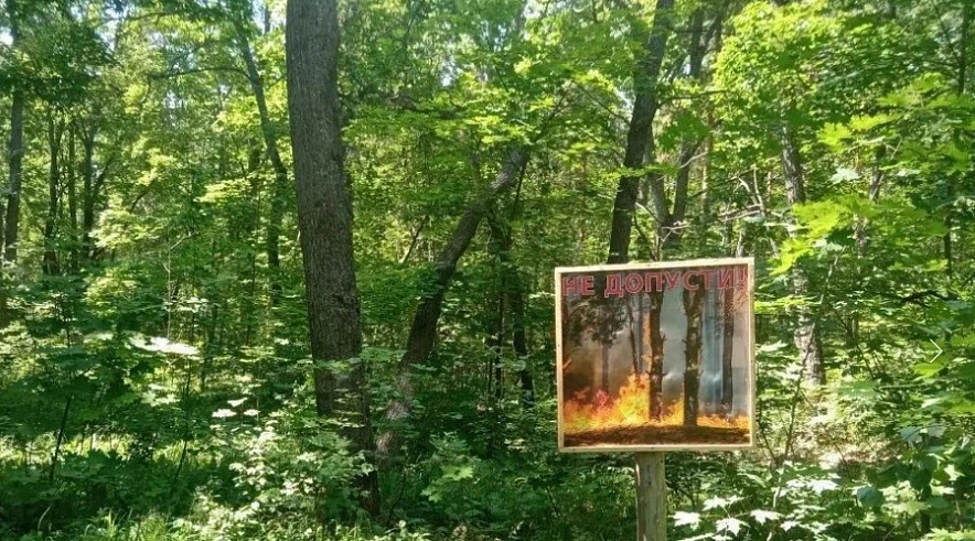 Фото: Минприроды