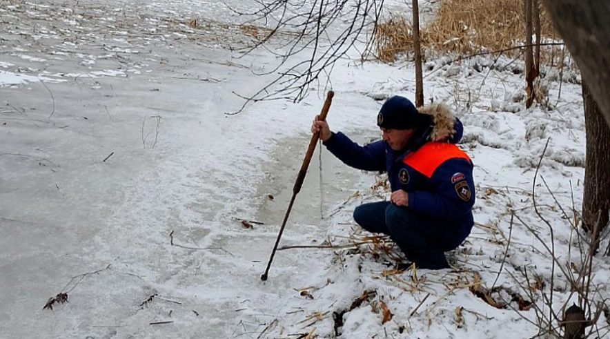 Фото: Администрация БМР