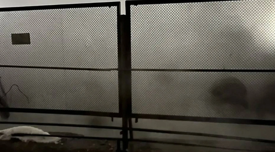 Фото: Т Плюс