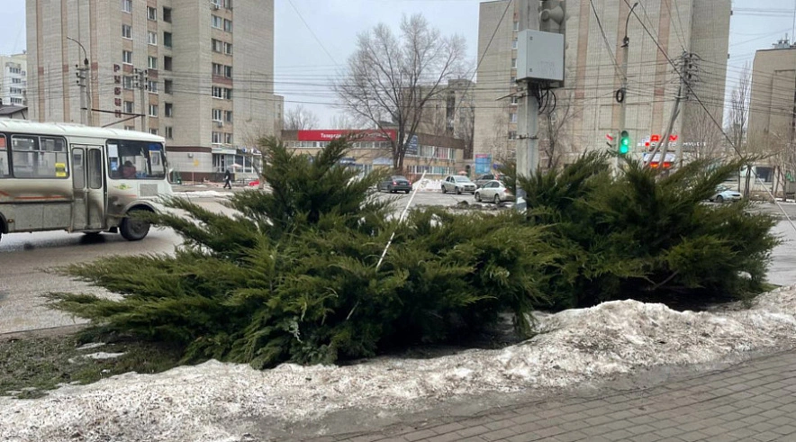 Фото: G﻿obalakovo