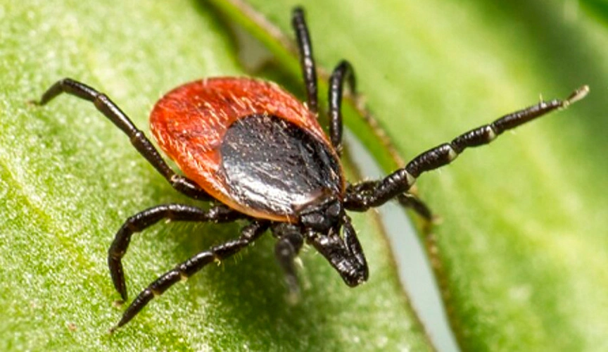 Фото: Роспотребнадзор