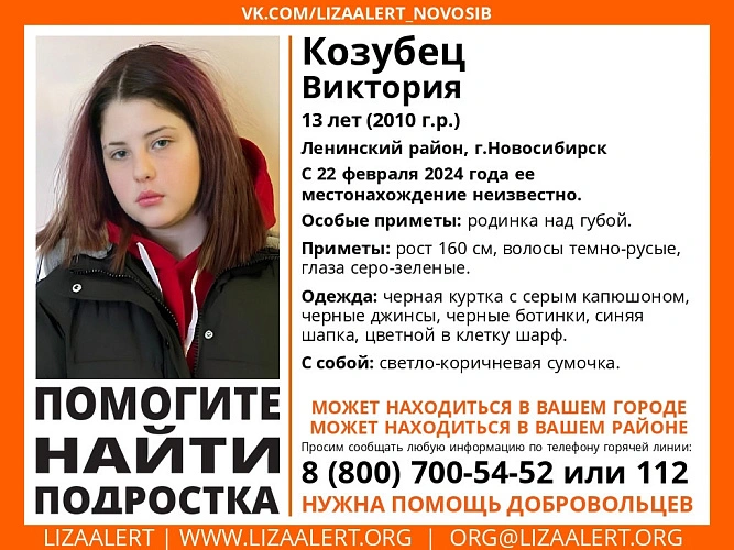 Фото: ЛизаАлерт