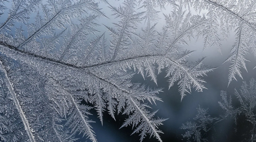 Фото: Шедеврум