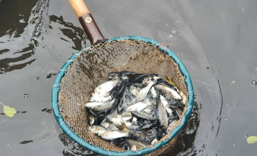 Фото: Комитет охотничьего хозяйства и рыболовства Саратовской области