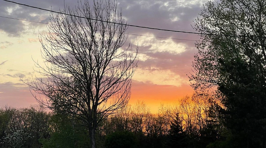 Фото: G﻿obalakovo