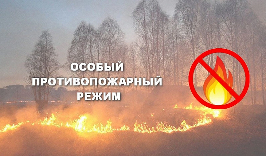 Фото: МЧС