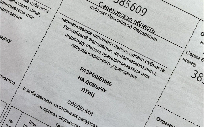 Фото: Комитет охотничьего хозяйства и рыболовства