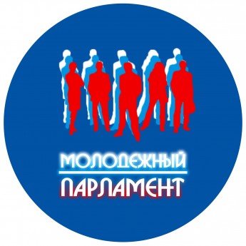 Молодежный парламент Балаковского муниципального района, молодежные организации Балаково