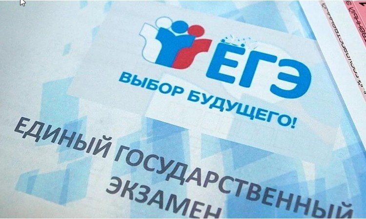Фото: МФЦ Рязанской области