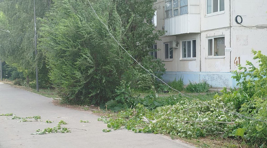 Фото: Администрация БМР Фото: Администрация БМР