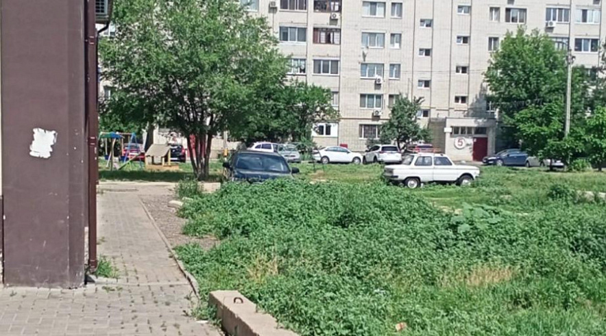 Фото: Администрация БМР