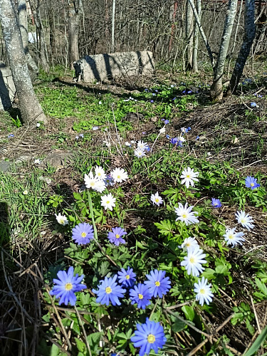 Фото: gobalakovo.ru Фото: gobalakovo.ru