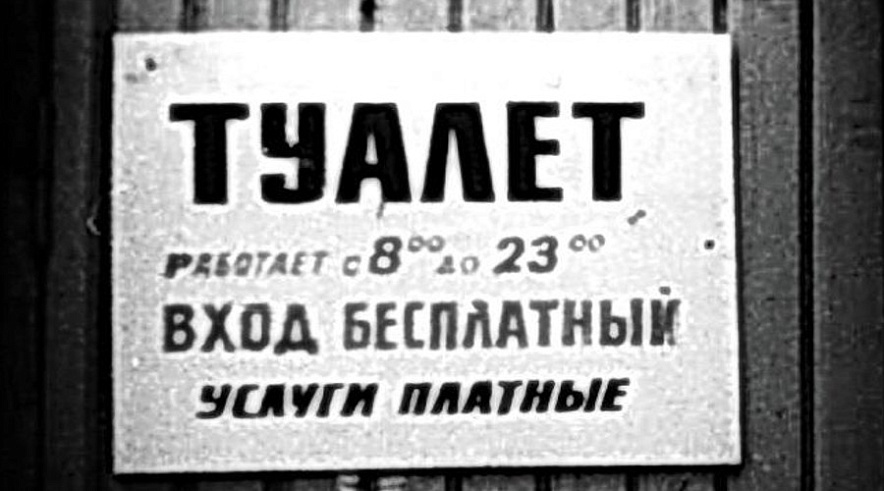 Фото: Дзен