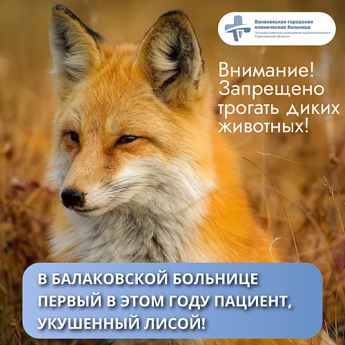 Фото: БГКБ Фото: БГКБ
